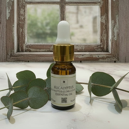 Eucalyptus Essential Oil 10ml