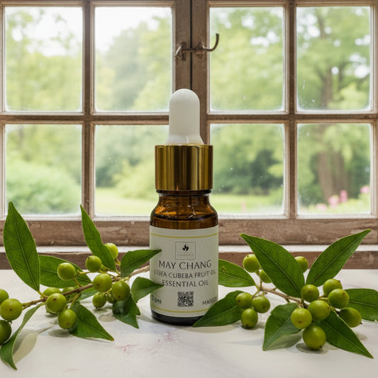 May Chang Essential Oil 10ml