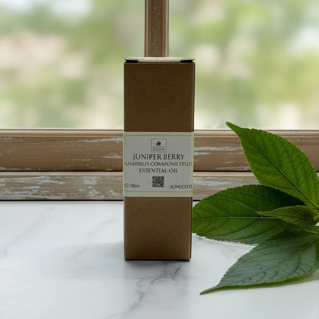 Patchouli Essential Oil 10ml