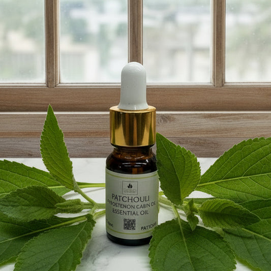 Patchouli Essential Oil 10ml