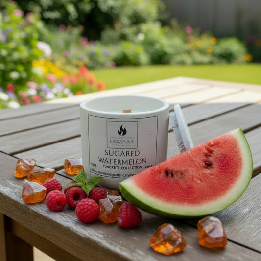 Sugared Watermelon Scented Concrete Candle 10oz