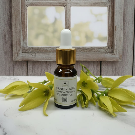Ylang Ylang Essential Oil 10ml