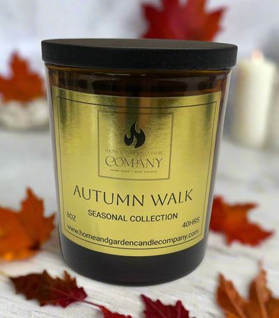 Autumn Walk