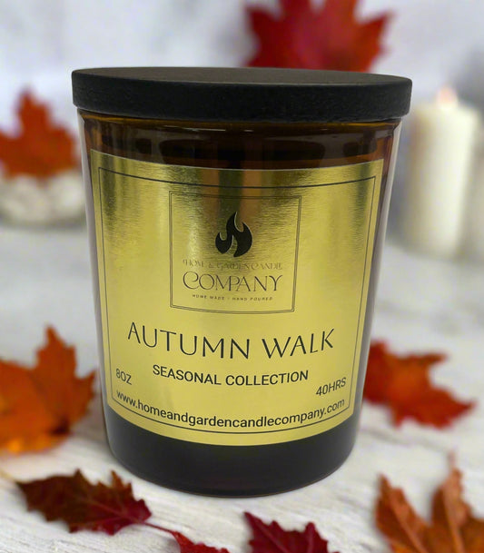 Autumn Walk