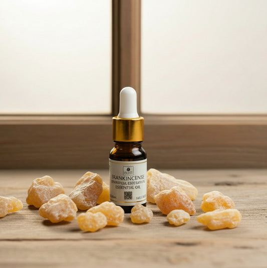 Frankincense Essential Oil 10ml