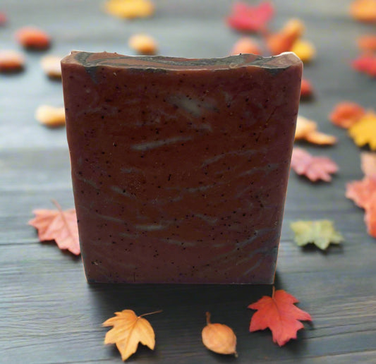 Orange & Cinnamon Exfoliating Soap