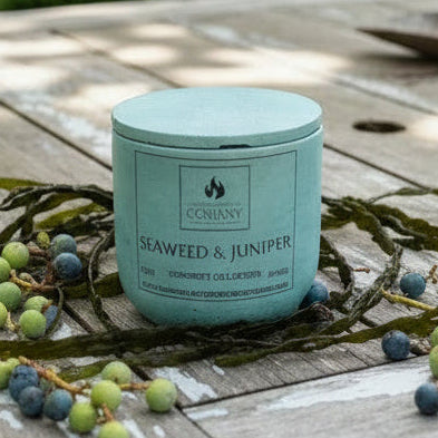 Seaweed & Juniper Scented Concrete Candle 10oz