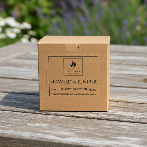Seaweed & Juniper Scented Concrete Candle 10oz