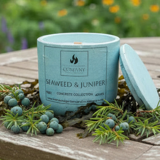 Seaweed & Juniper Scented Concrete Candle 10oz