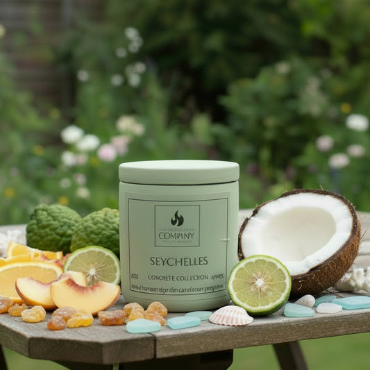 Seychelles Scented Concrete Candle