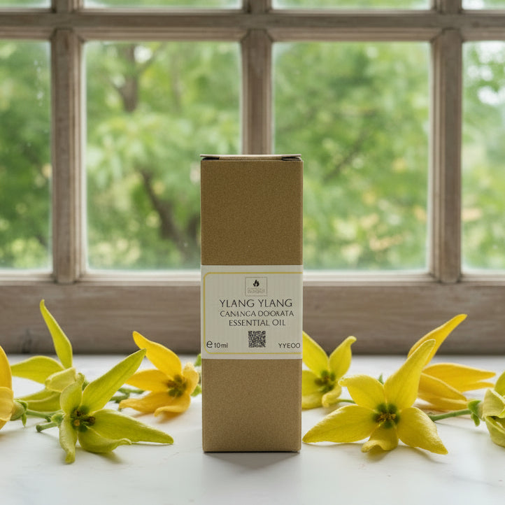 Ylang Ylang Essential Oil 10ml